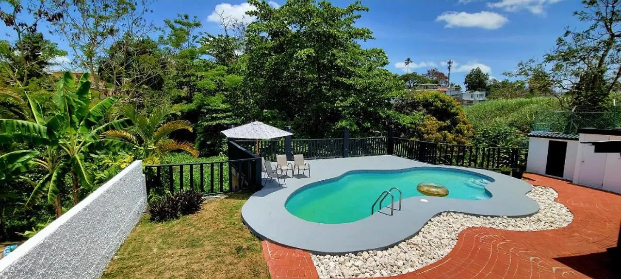 Beautiful Private Villa With Summer-Ready Pool, An Oasis In The City location